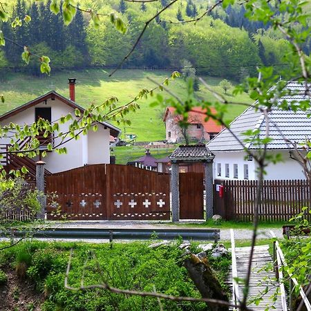 Gospodaria Lui Nea Ion Vama Buzăului Eksteriør bilde