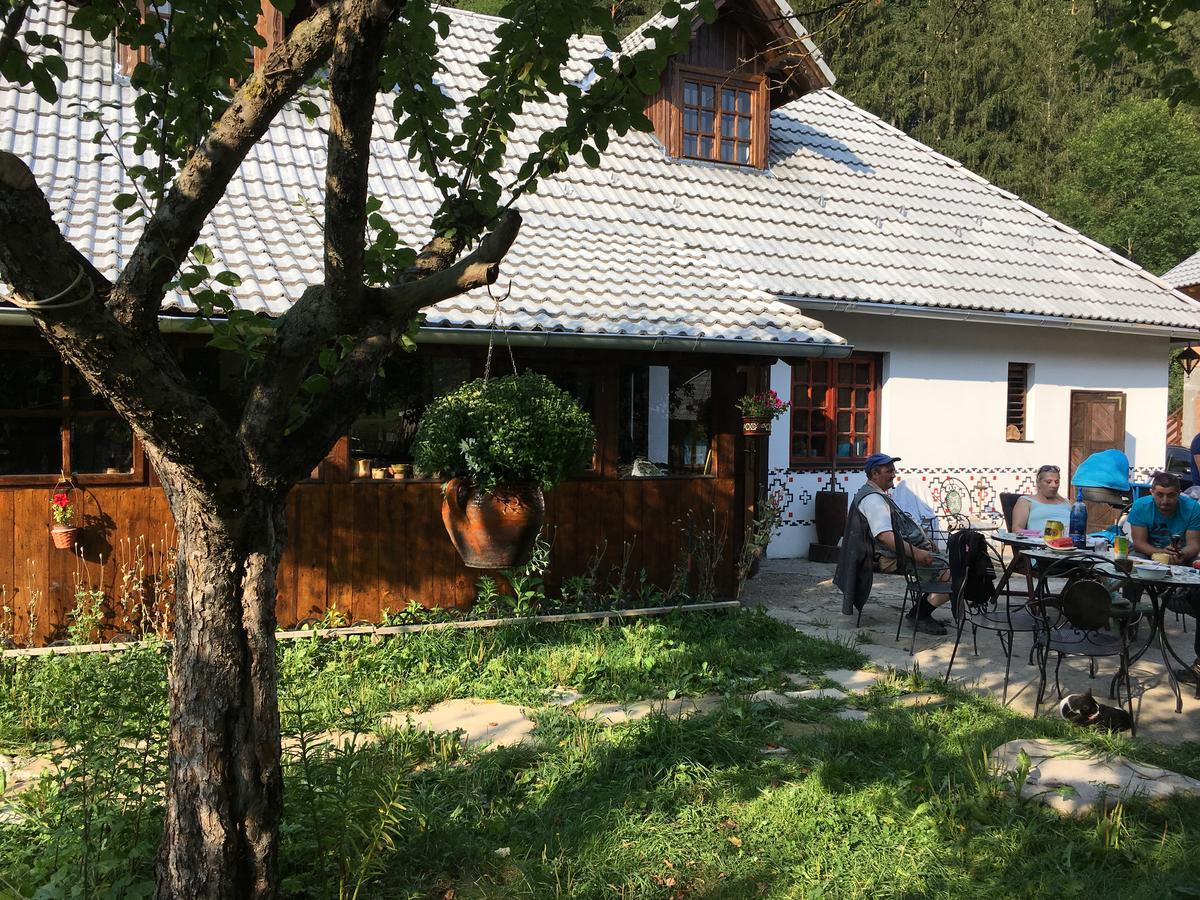 Gospodaria Lui Nea Ion Vama Buzăului Eksteriør bilde