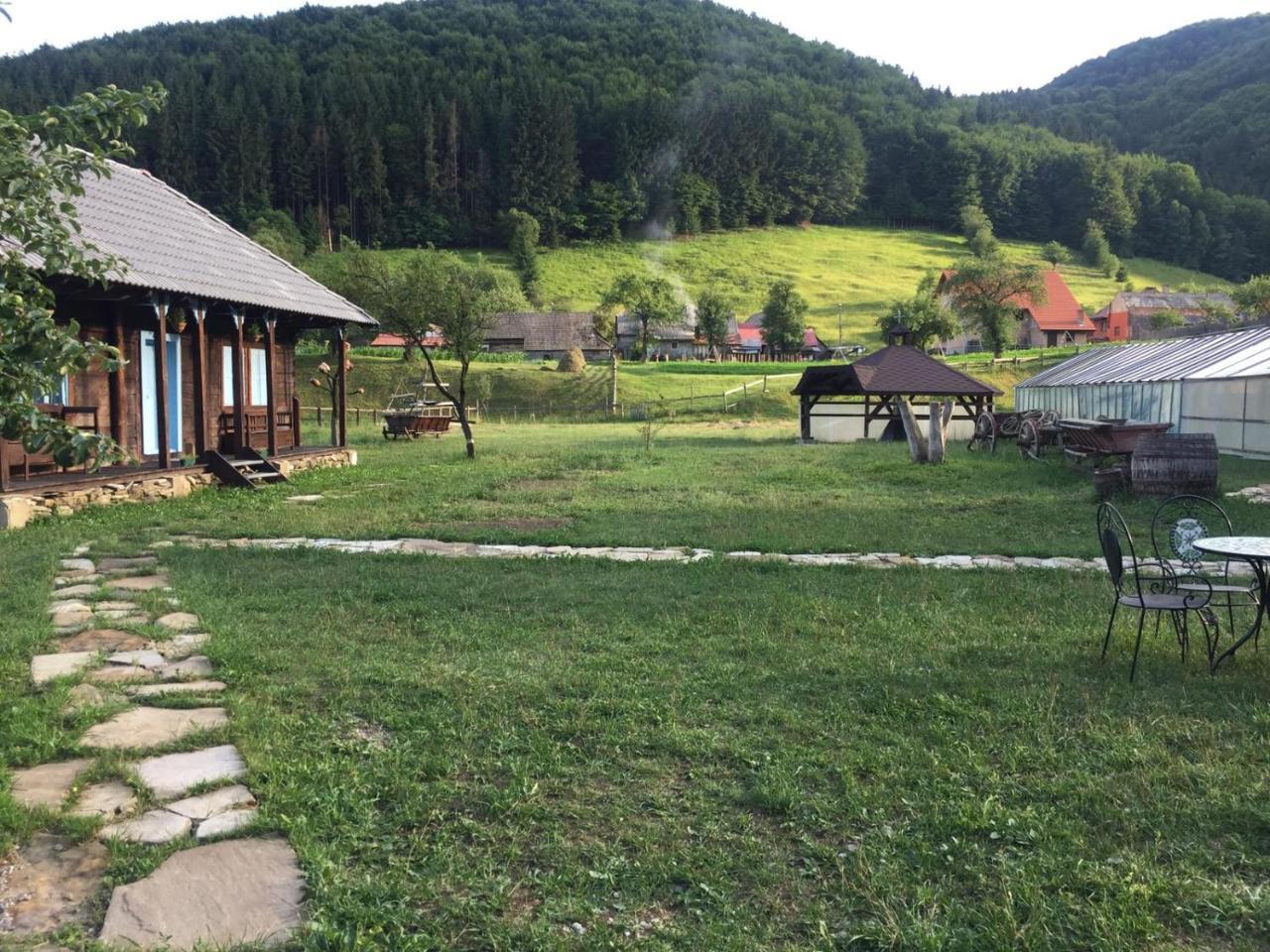 Gospodaria Lui Nea Ion Vama Buzăului Eksteriør bilde