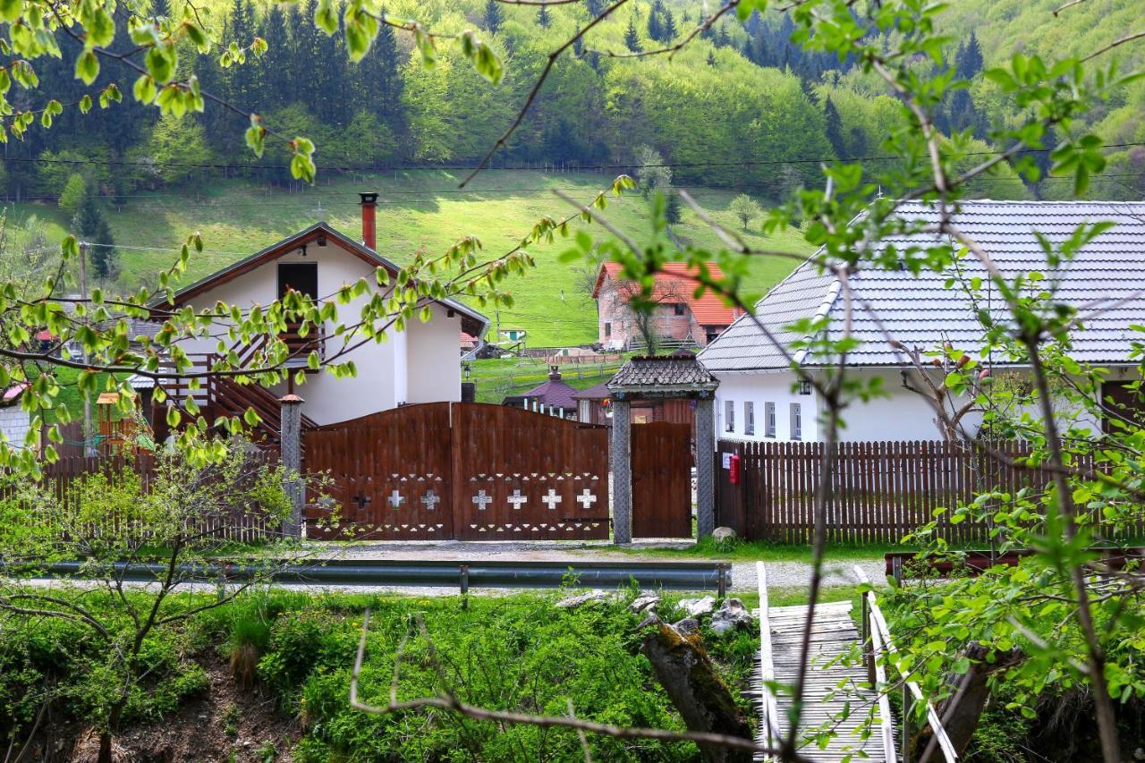 Gospodaria Lui Nea Ion Vama Buzăului Eksteriør bilde